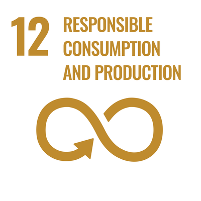 Gold icon and text on a white background, representing Sustainable Development Goal 12: Responsible Consumption and Production.