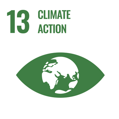 Green icon and text on a white background, representing Sustainable Development Goal 13: Climate Action